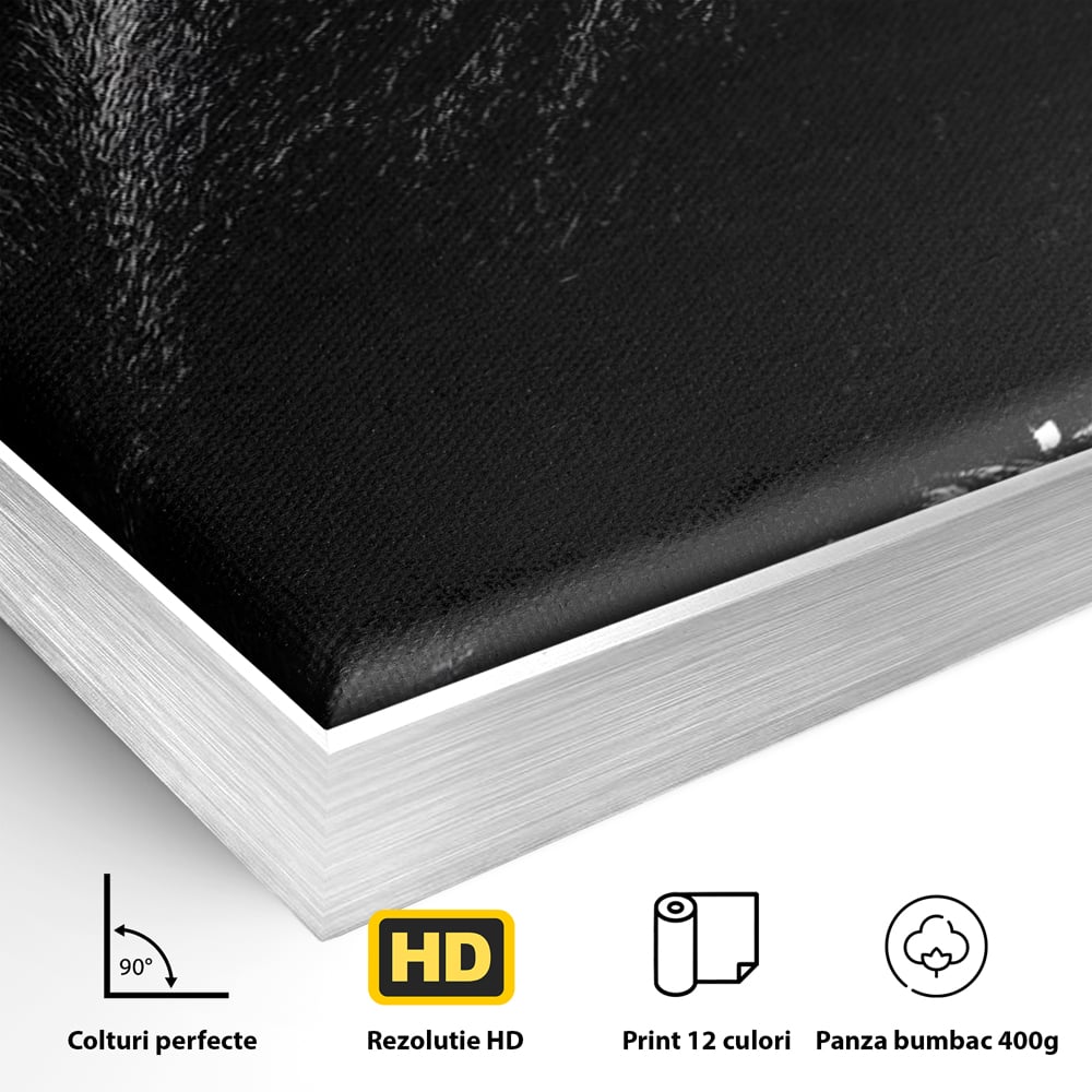Detaliu al suprafetei: tablou canvas cu gorila furioasa, in rama de aluminiu argintiu